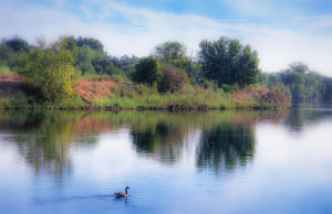 American_River